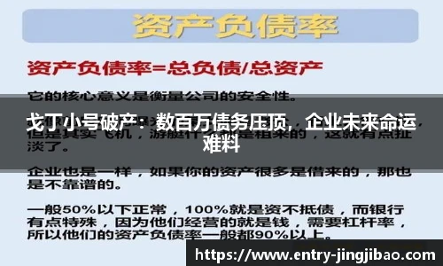 戈丁小号破产：数百万债务压顶，企业未来命运难料